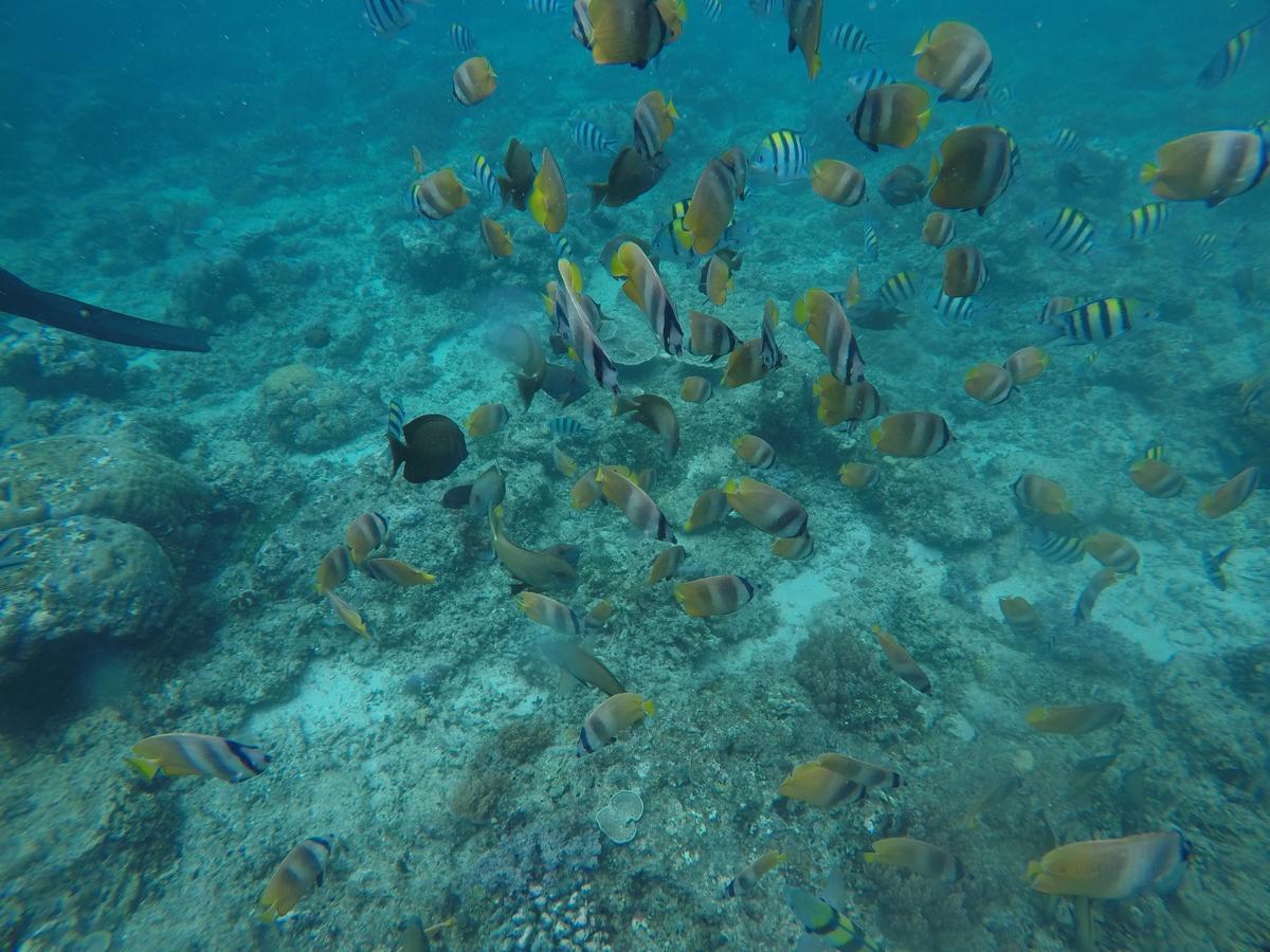 Meisya Cottage Gili Trawangan Buitenkant foto